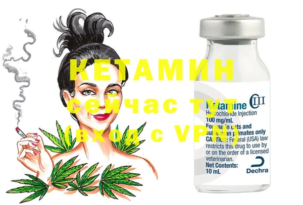 гашик Карпинск