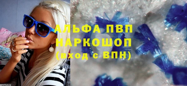 гашик Карпинск