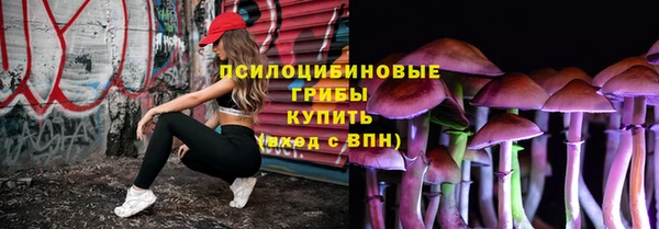 spice Касимов